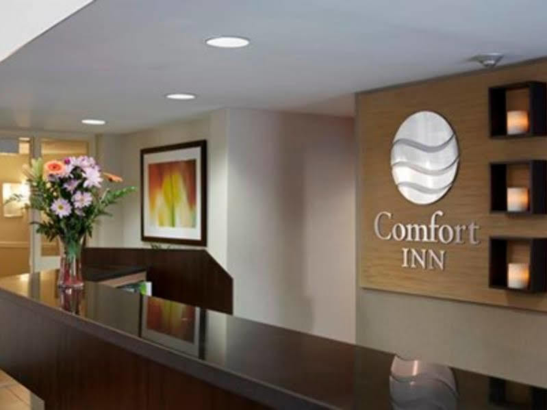 Comfort Inn Суифт Кърънт Екстериор снимка